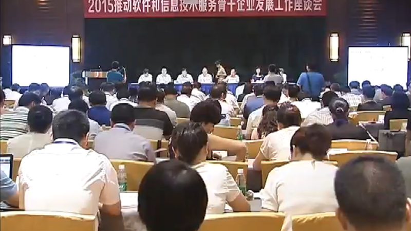 IT外包资质分类解析：企业选择指南